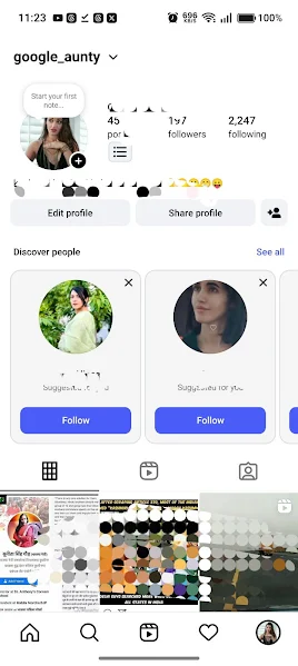 Instagram Pro 3 style interface